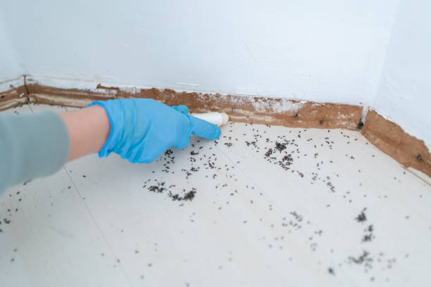 Best Wildlife Control Services  in Fairless Hills, PA